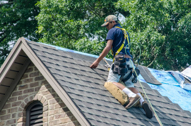 Best Flat Roof Repair Services  in Gainesboro, TN